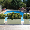VASO KEBE QUADRO GREENER CM.40 CON RISERVA D'ACQUA VERDE RUOTE OASI