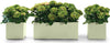VASO KEBE QUADRO GREENER CM.40 CON RISERVA D'ACQUA VERDE RUOTE OASI