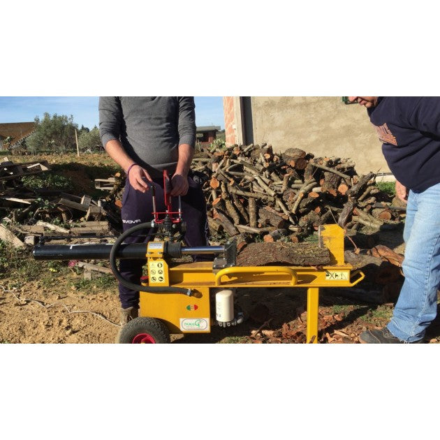 SPACCALEGNA A SCOPPIO BENZINA 11 TONNELLATE FAMAG