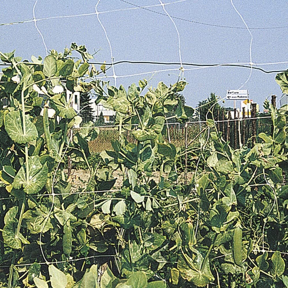 RETE RAMPY PER RAMPICANTI H2 X 25 MT. VERDELOOK