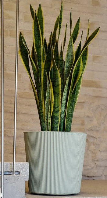 COPRIVASO FYRE GREENER CM.30 CON RUOTE OASI
