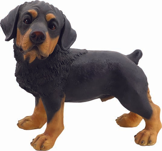 CANE PEDRO CM.29 ANTICO MESTIERE