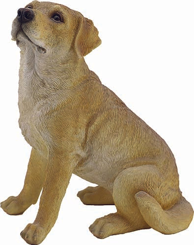 CANE ARTU'CM.22 ANTICO MESTIERE