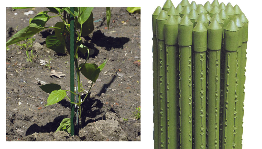 TUTORI SOSTEGNO PER PIANTE IN PE DIAM.16 MM H180 CM PAPILLON