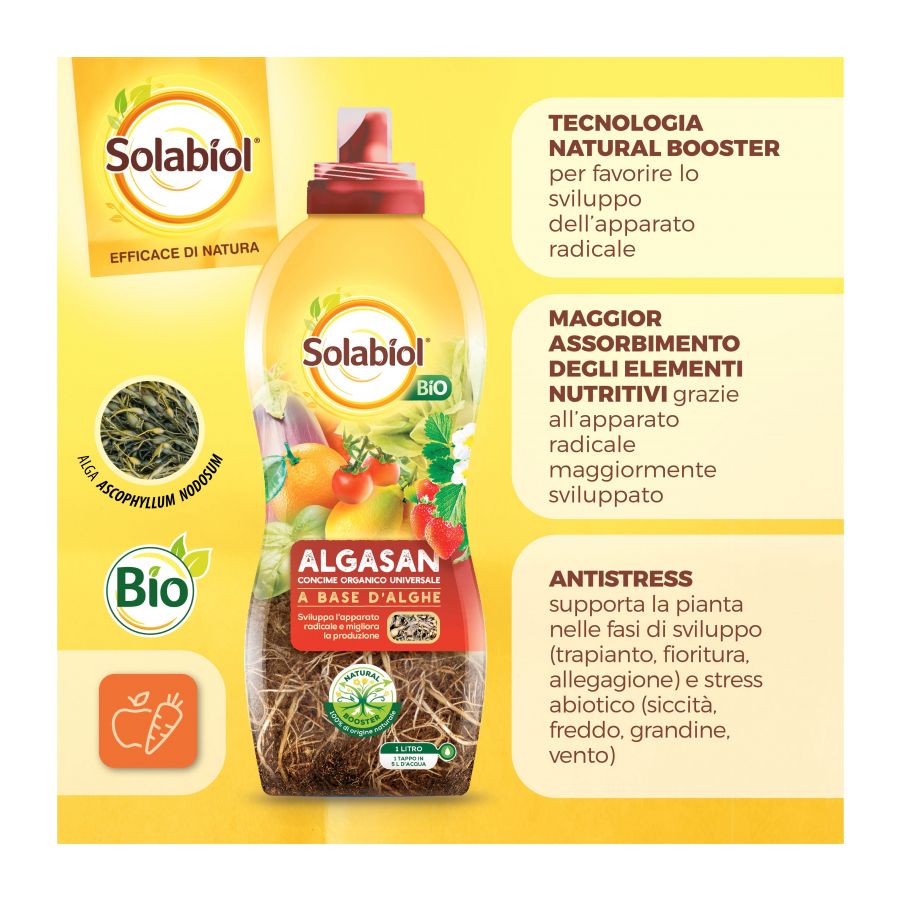 CONCIME ALGASAN SOLABIOL BIO LT.1A BASE DI ALGHE