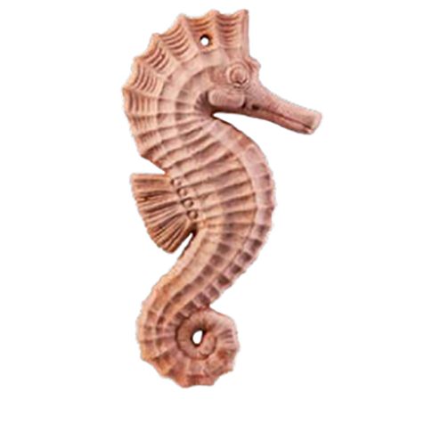 CAVALLUCCIO MARINO CM.22 IN TERRACOTTA ANTICO MESTIERE