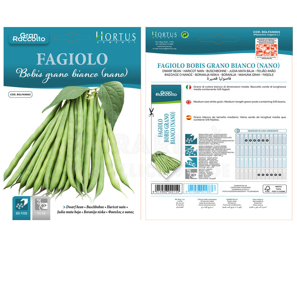 FAGIOLO BOBY BIANCO (NANO) HORTUS BUSTA GR.60