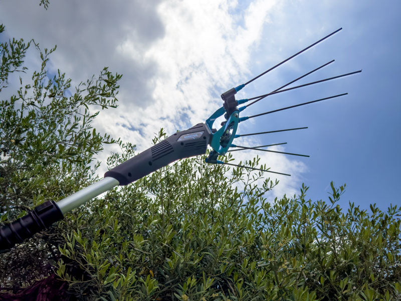 Abbacchiatore elettrico Campagnola Master asta cm.185/270