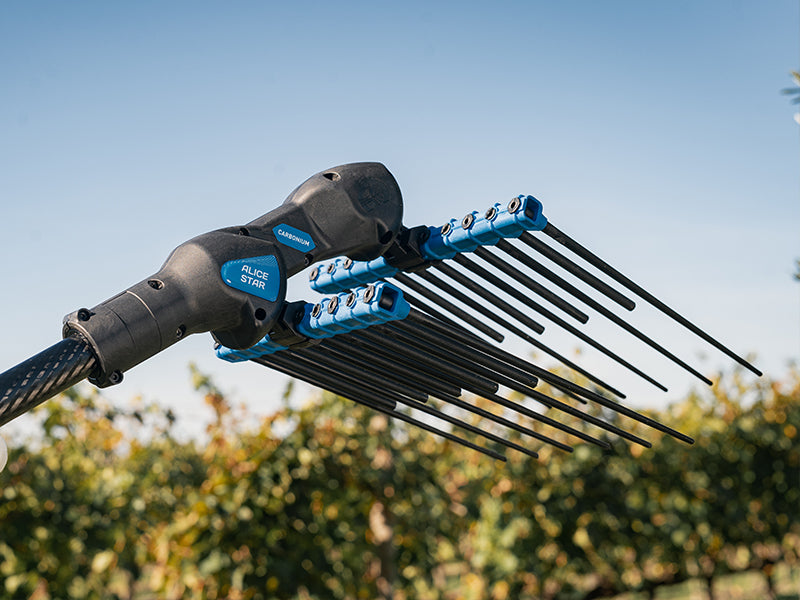 KIT ALICE STAR+58VPLUS+LI-ION700+ASTA IN CARBONIO 185-270CM.