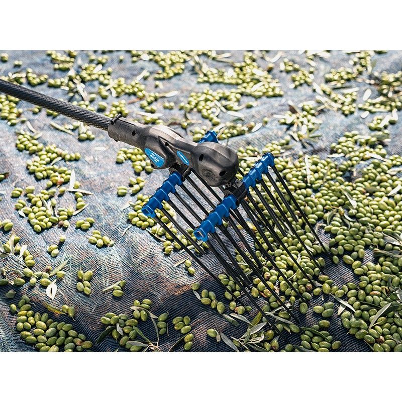 ABBACCHIATORE A BATTERIA ALICE STAR 58PLUS+ASTA ALLUMINO CAMPAGNOLA