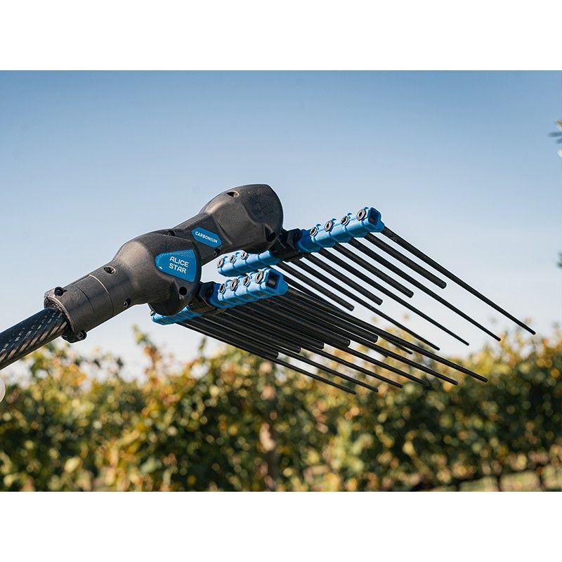 ABBACCHIATORE A BATTERIA ALICE STAR 58PLUS+ASTA ALLUMINO CAMPAGNOLA