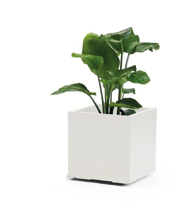 VASO KEBE QUADRO GREENER CM.40 CON RISERVA ACQUA,RUOTE BIANCO