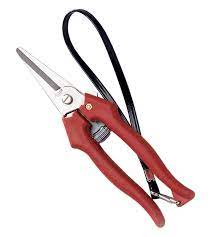 FORBICE COGLIUVA 190 MM LAMA INOX AUSONIA