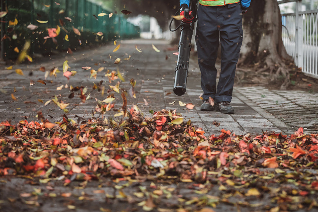 Soffiatore a scoppio a spalla EB 770 Shindaiwa