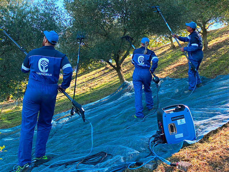 GENERATORE DI CORRENTE ENERGY 4 AD INVERTEER SILENZIATO CAMPAGNOLA