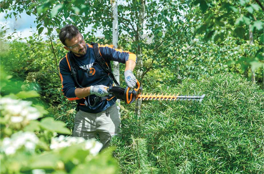 HELION ALPHA TAGLIASIEPI 900W 3.75 KG.PELLENC