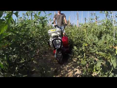 MOTOSARCHIATRICE RT 401 A BENZINA MECCANICA BENASSI