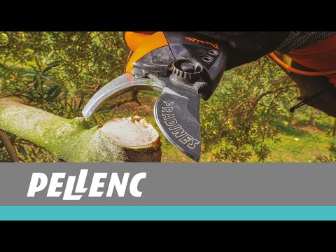 FORBICE A BATTERIA PRUNION 250 MARCA PELLENC