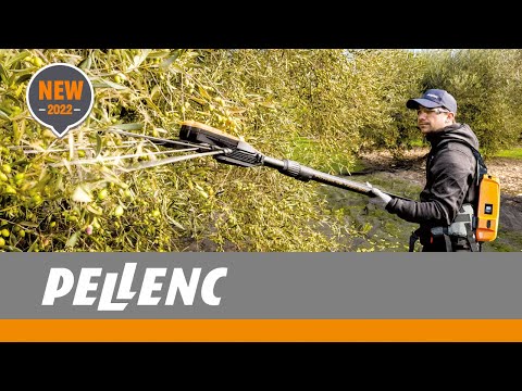 ABBACCHIATORE A BATTERIA TESTA POWER48+STA POWER48 T220-300 PELLENC