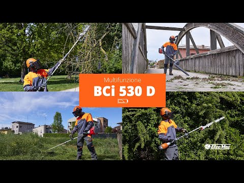 KIT MULTIFUNZIONE BATTERIA BCI530D+1 B4AH+CRG56V+5 ACCESSORI OLEOMAC