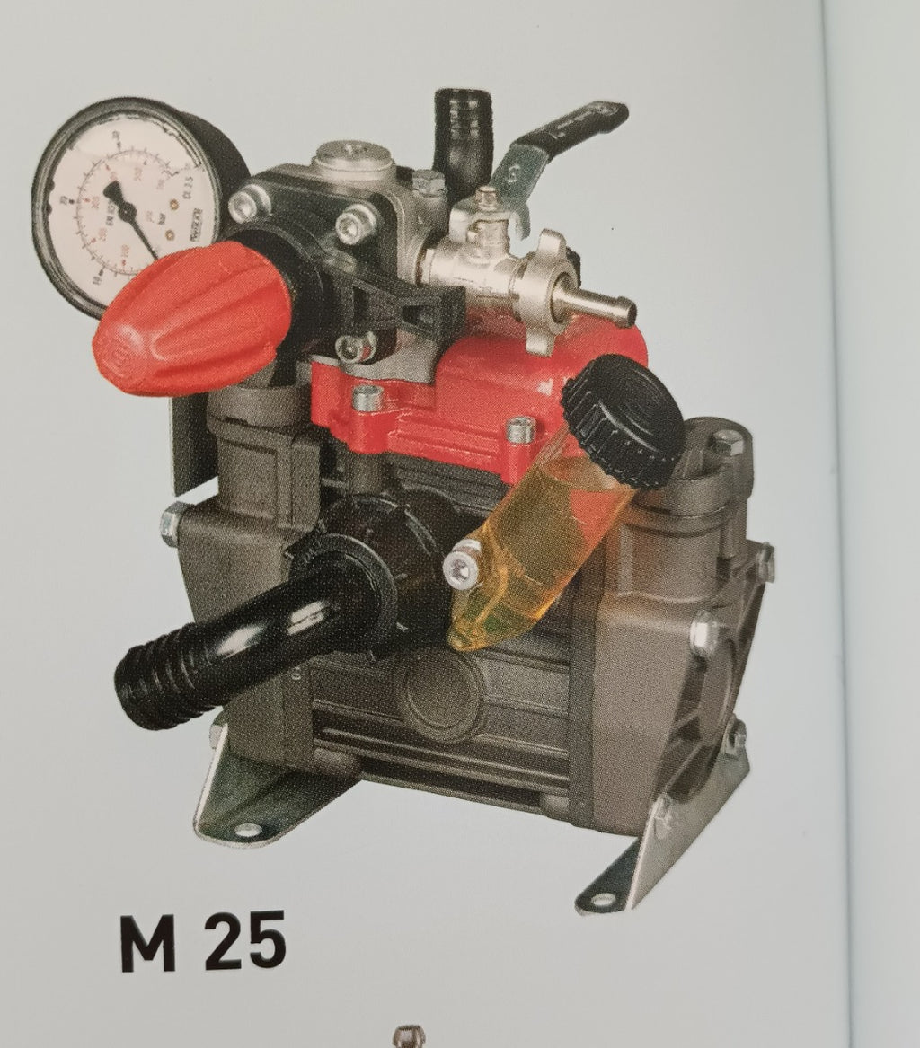 Pompa IMOVILLI M25 completa di gruppo regolatore