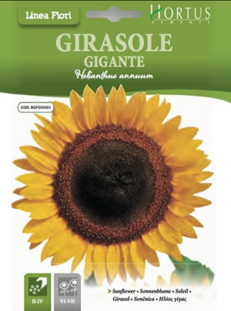 GIRASOLE GIGANTE HORTUS