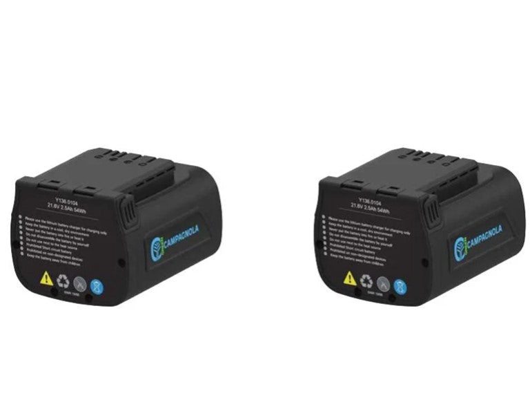 FORBICE A BATTERIA ELETTRICA PLUG-IN SU ASTA STARK 90 V1 CAMPAGNOLA