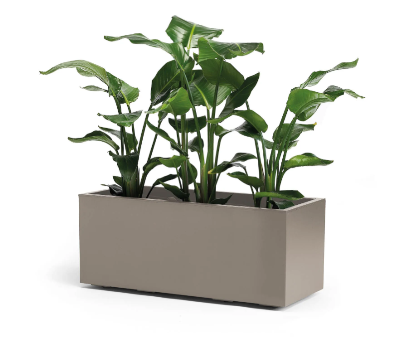 CASSETTA KEBE GREENER CM.100 CON RISERVA ACQUA E RUOTE TORTORA