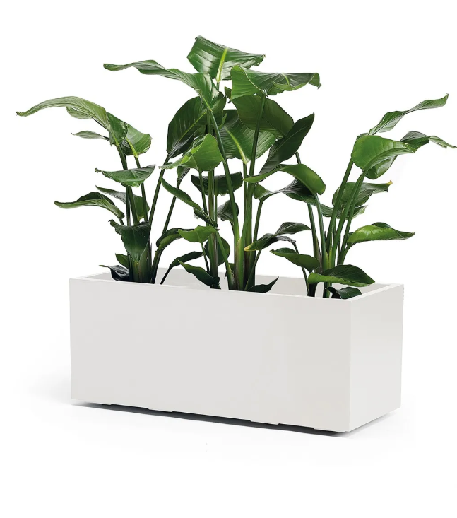 CASSETTA KEBE GREENER CM.100 CON RISEVA ACQUA E RUOTE COLORE BIANCO