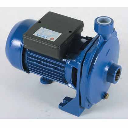 ELETTROPOMPA CENTRIFUGA HP1 TIPO 100 M LEPORIS