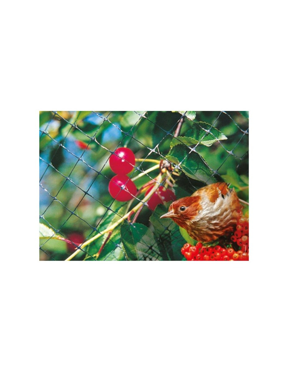 RETE ANTIUCCELLI VERDE 2X5 MT 12 GR/MQ 15X15 PAPILLON