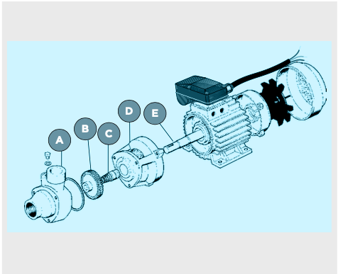 ELETTROPOMPOMPA VOLUMETRICA PMF60 MONO 0.5 HP 220V 50HZ FINITA ARVEN
