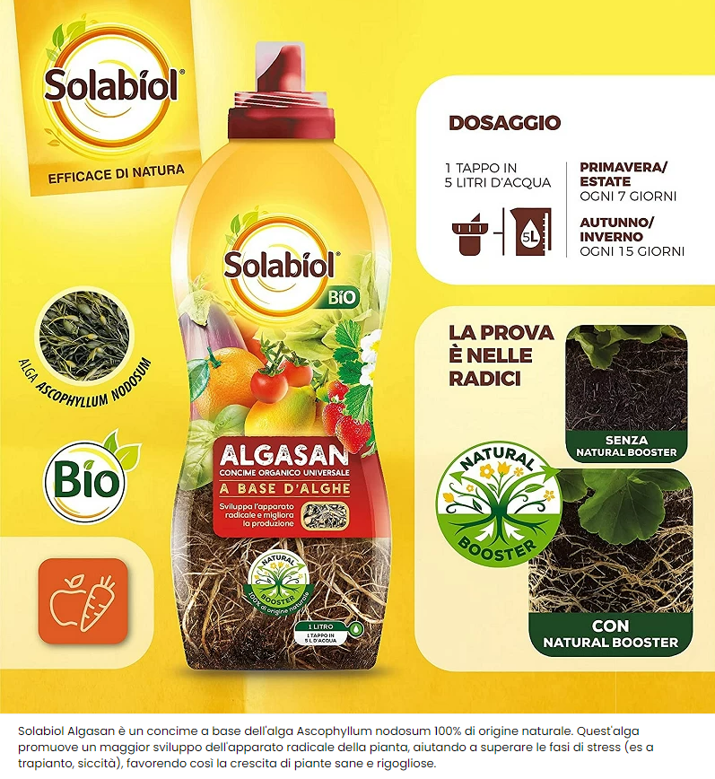 CONCIME ALGASAN SOLABIOL BIO LT.1A BASE DI ALGHE