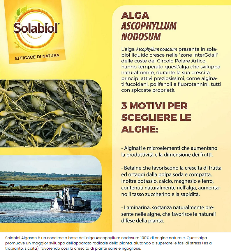 CONCIME ALGASAN SOLABIOL BIO LT.1A BASE DI ALGHE