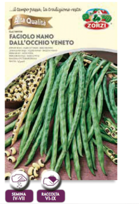 FAGIOLO NANO DALL'OCCHIO VENETO ZORZI BUSTA DA GR.60