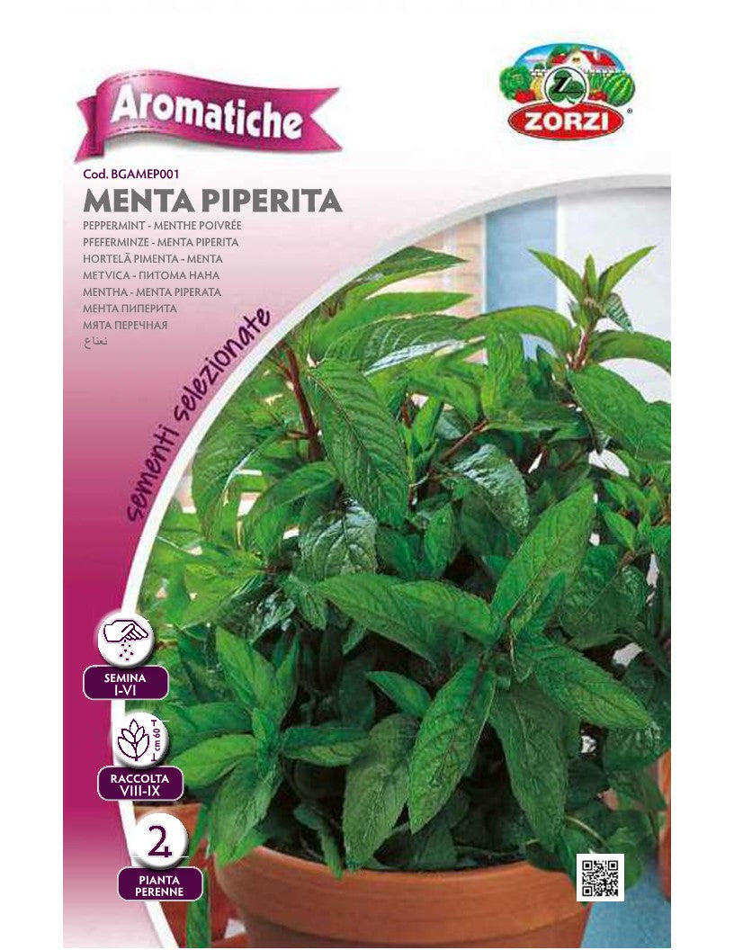SEMI MENTA PIPERITA ZORZI