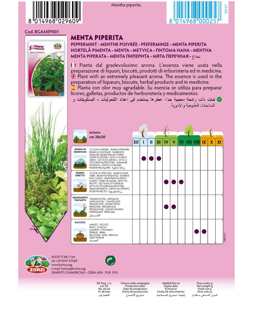 SEMI MENTA PIPERITA ZORZI