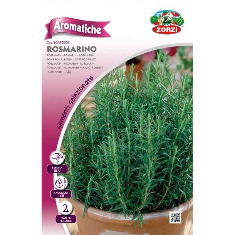 SEMI ROSMARINO ZORZI
