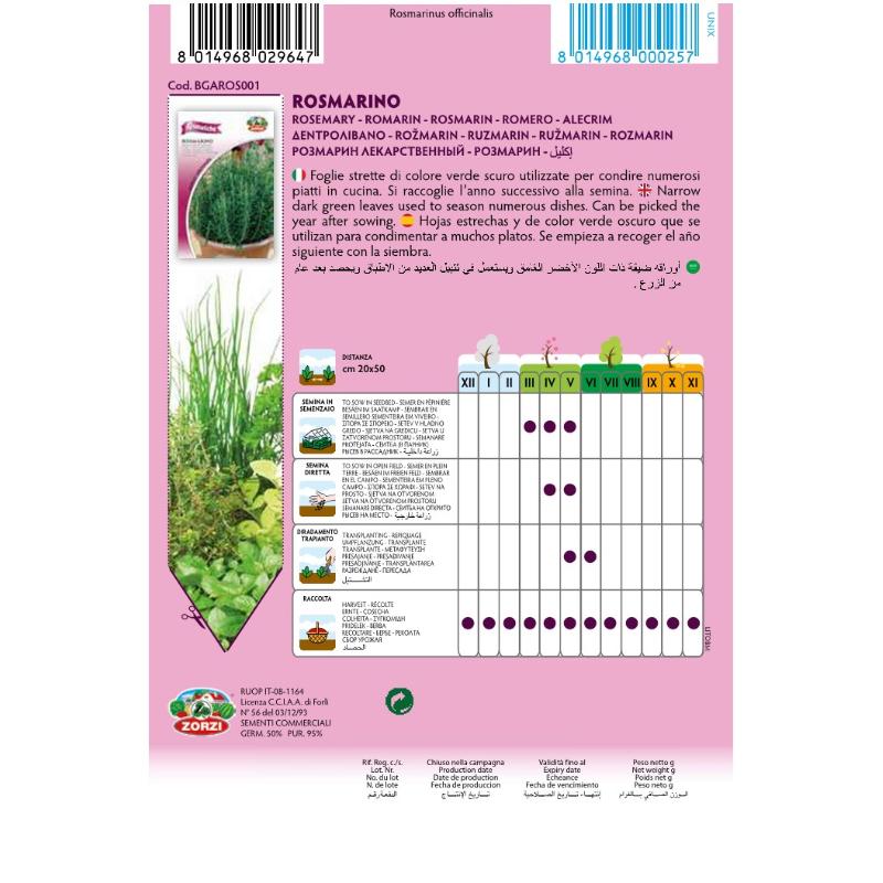 SEMI ROSMARINO ZORZI