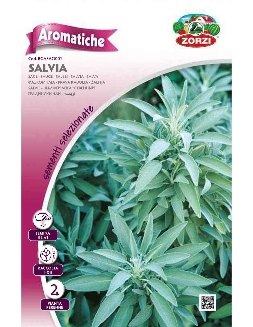 SEMI SALVIA ZORZI