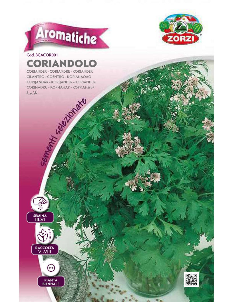 SEMI CORIANDOLO ALTA QUALITA' ZORZI