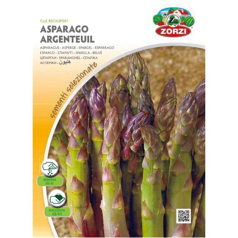 SEMI ASPARAGO ARGENTEUIL ZORZI