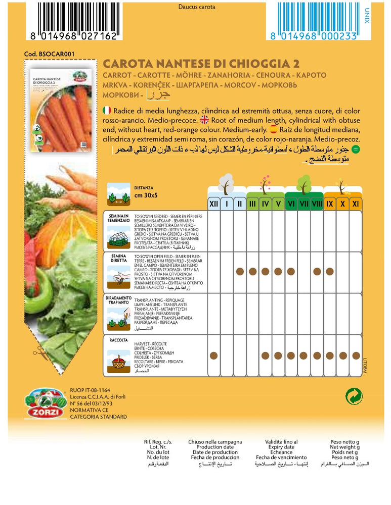 SEMI CAROTA NANTESE DI CHIOGGIA 2 ZORZI