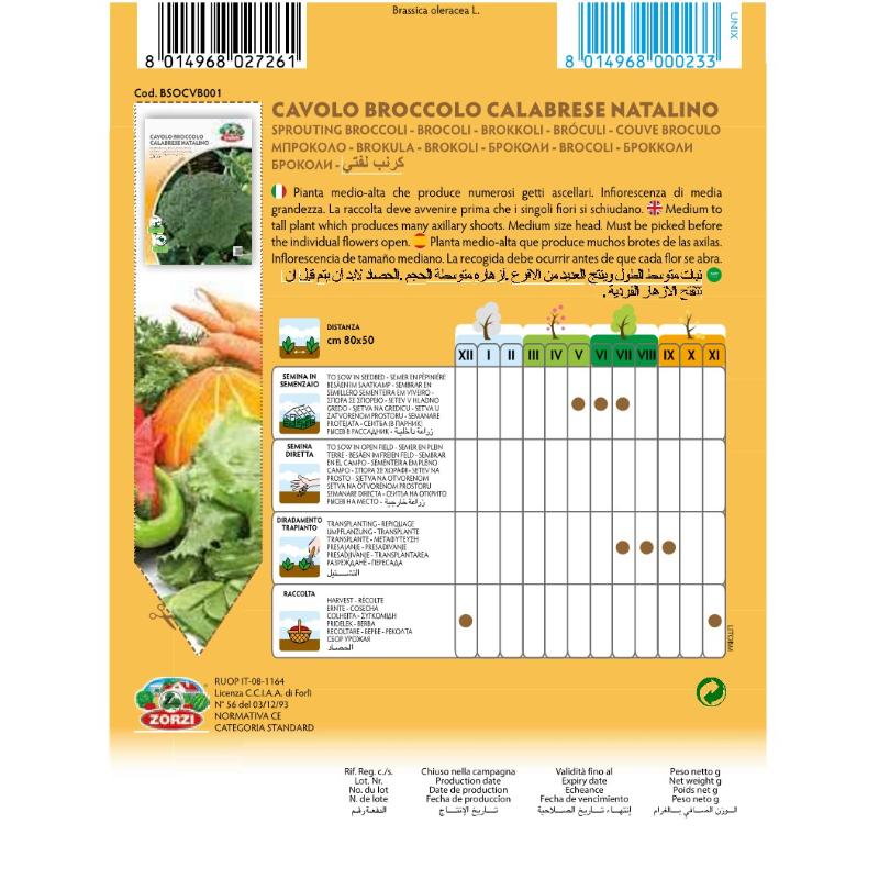 SEMI CAVOLO BROCCOLO CALABRESE NATALINO ZORZI