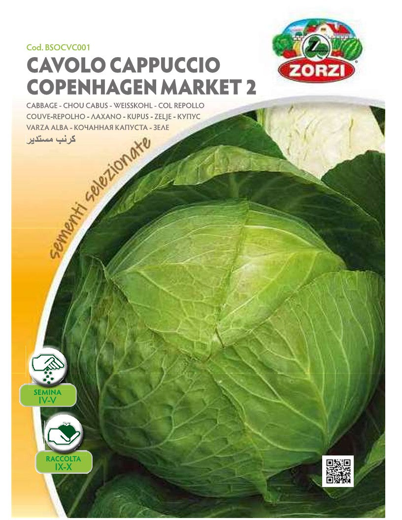SEMI CAVOLO CAPPUCCIO COPENANHAGEN MARKET 2