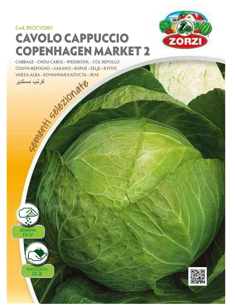 SEMI CAVOLO CAPPUCCIO COPENANHAGEN MARKET 2