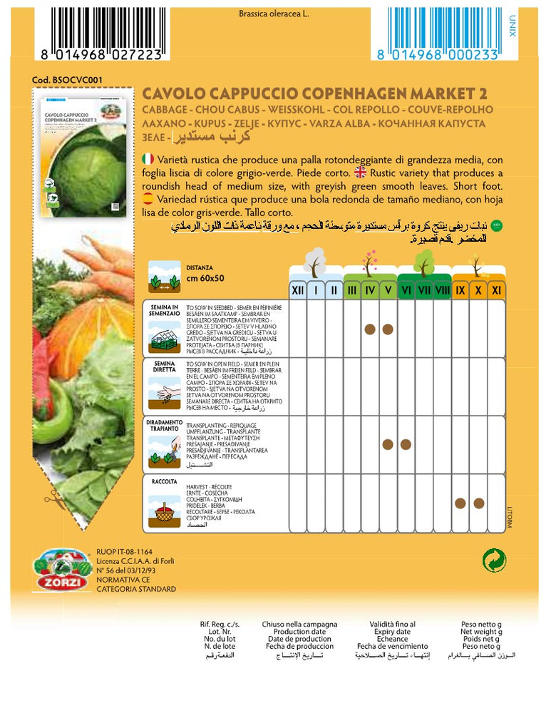 SEMI CAVOLO CAPPUCCIO COPENANHAGEN MARKET 2