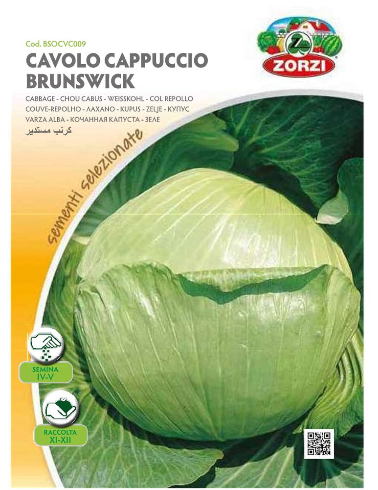 SEMI CAVOLO CAPPUCCIO BIANCO BRUNSWICK ZORZI