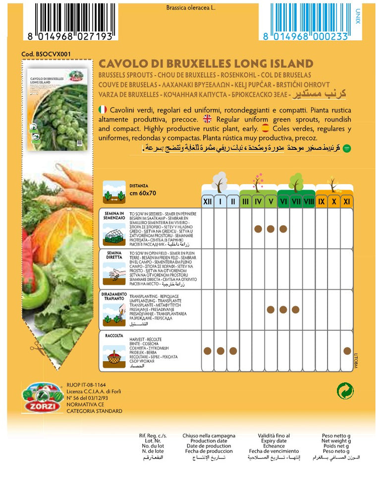 SEMI CAVOLO DI BRUXELLES LONG ISLAND ZORZI