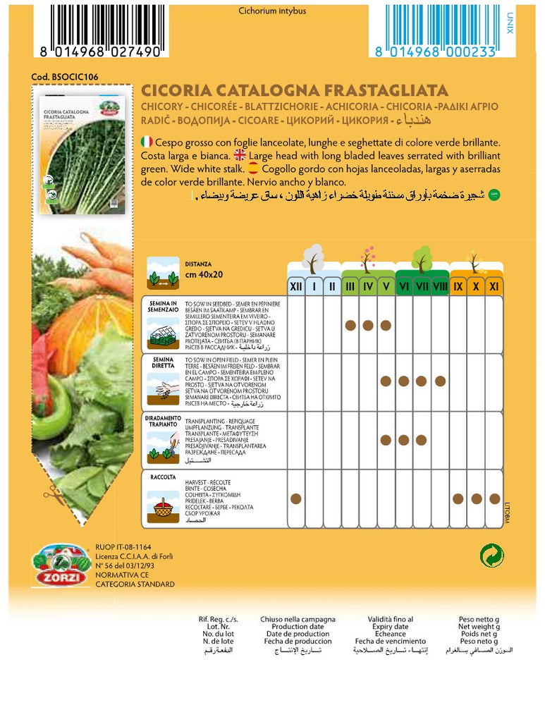 SEMI CICORIA CATALOGNA FRASTAGLIATA ZORZI